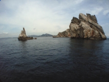 M0011597