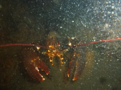 P1010675