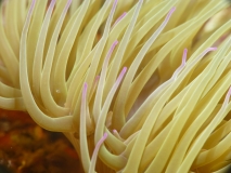 P1110298