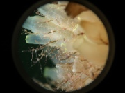200730202016.9290